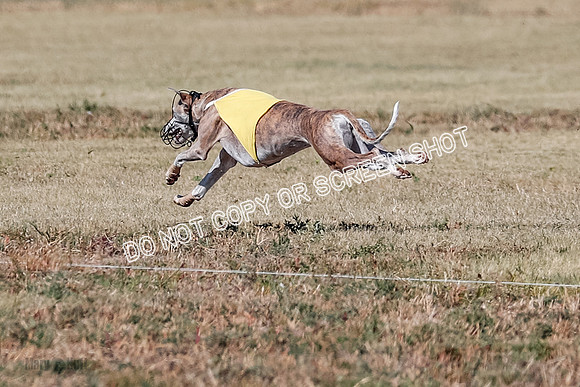 Open 1, Final, Zuma-Quinn-Flint-4942