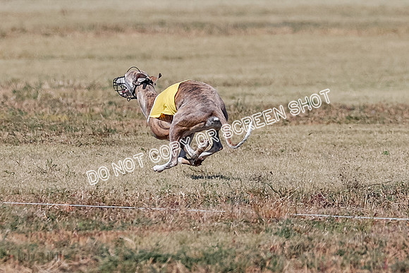 Open 1, Final, Zuma-Quinn-Flint-4944