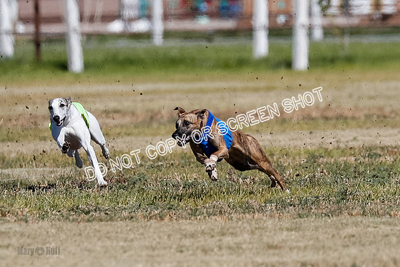 Open 2, Final, Luke-Lancer-Amp-4967