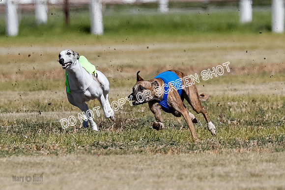 Open 2, Final, Luke-Lancer-Amp-4968