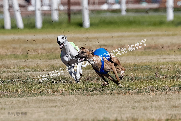 Open 2, Final, Luke-Lancer-Amp-4969