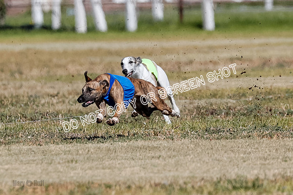 Open 2, Final, Luke-Lancer-Amp-4971