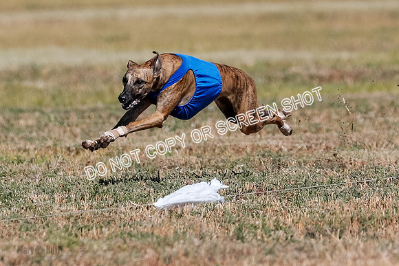 Open 2, Final, Luke-Lancer-Amp-4976
