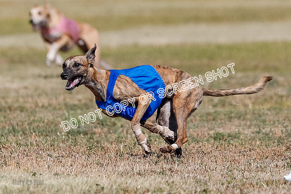 Open 2, Final, Luke-Lancer-Amp-4979