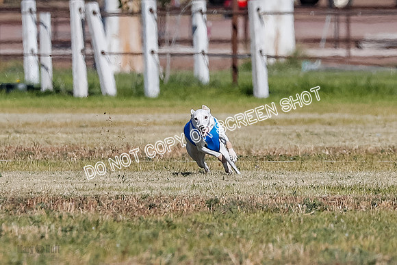 Open 3, Final, Carly-Hoot-Winta-5008