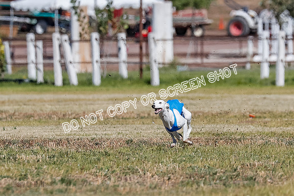 Open 3, Final, Carly-Hoot-Winta-5011