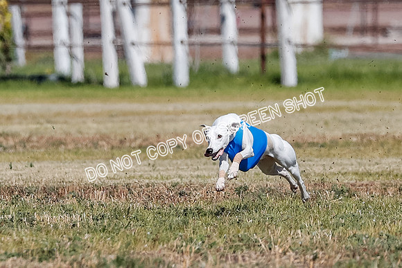 Open 3, Final, Carly-Hoot-Winta-5013