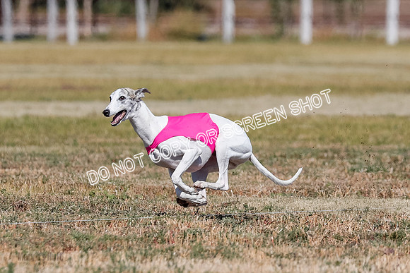 Open 3, Final, Carly-Hoot-Winta-5017