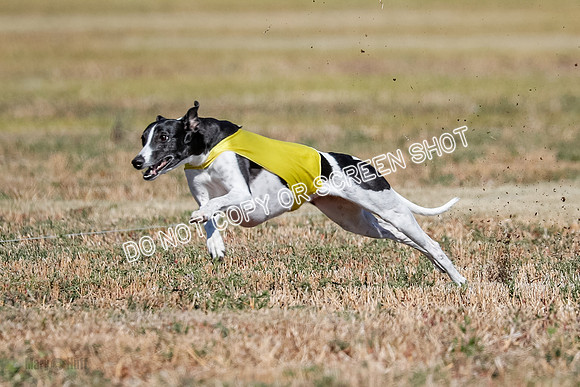 Open 4, Final, Dilly-Jet-5035