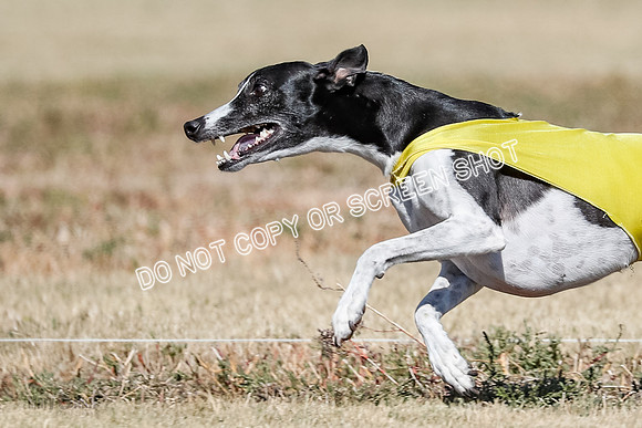 Open 4, Final, Dilly-Jet-5039