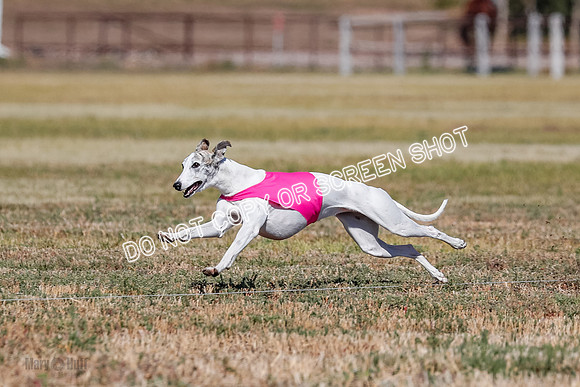 Open 3, Final, Carly-Hoot-Winta-5019