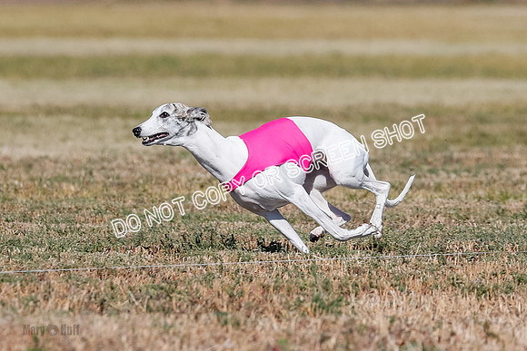 Open 3, Final, Carly-Hoot-Winta-5020