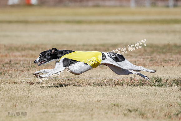 Open 4, Final, Dilly-Jet-5040
