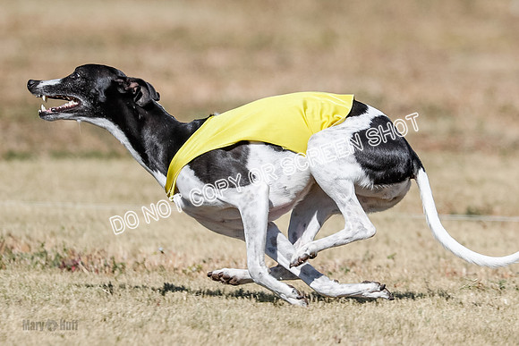 Open 4, Final, Dilly-Jet-5044