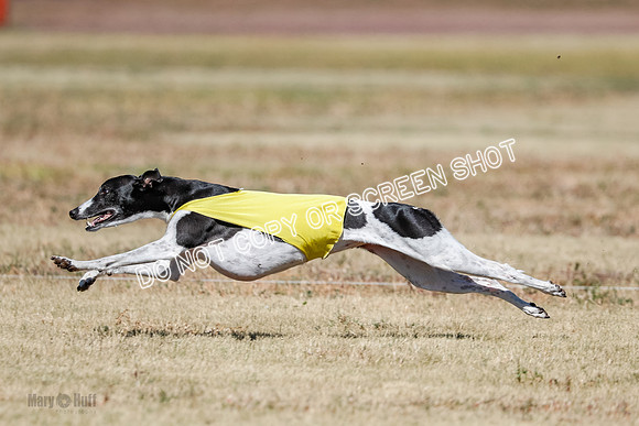 Open 4, Final, Dilly-Jet-5042