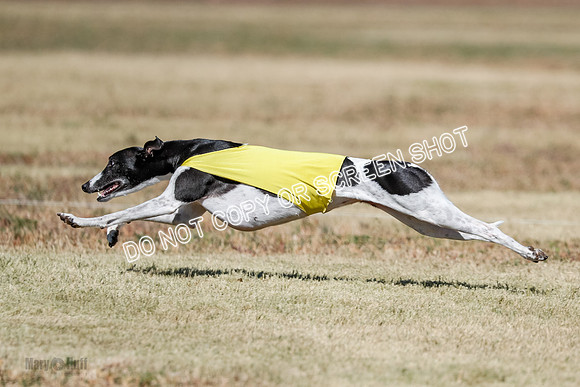 Open 4, Final, Dilly-Jet-5046
