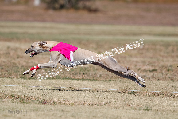 Open 4, Final, Dilly-Jet-5053
