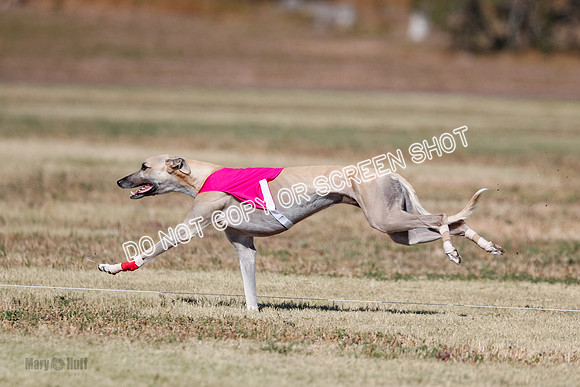Open 4, Final, Dilly-Jet-5054