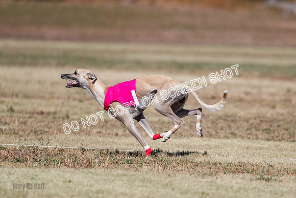Open 4, Final, Dilly-Jet-5055
