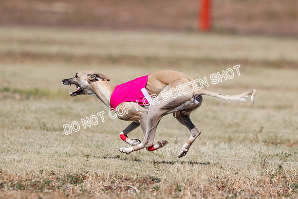 Open 4, Final, Dilly-Jet-5057
