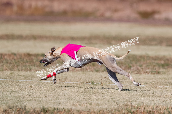 Open 4, Final, Dilly-Jet-5063