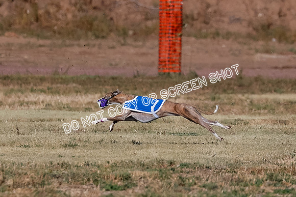 FCh 1, Prelim, Dylan-Keegan-Sonny-4560