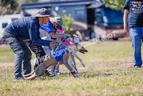 4-nbq Run Off, Hoot-Luke-Jet-5279
