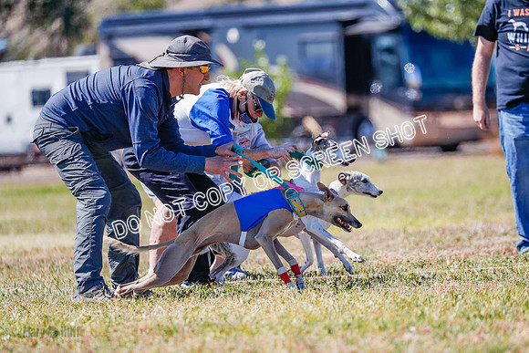 4-nbq Run Off, Hoot-Luke-Jet-5281
