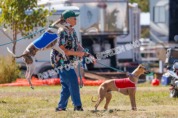 BOB, Flint-Della-Archer-5403