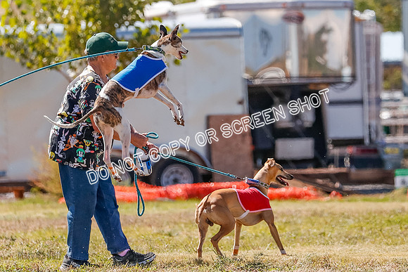 BOB, Flint-Della-Archer-5409