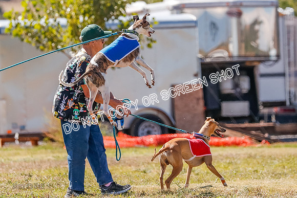 BOB, Flint-Della-Archer-5410