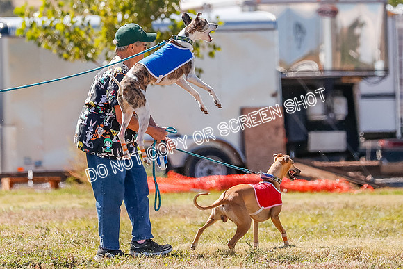 BOB, Flint-Della-Archer-5411