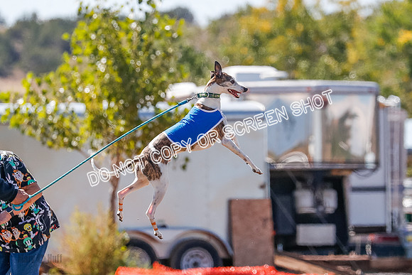 BOB, Flint-Della-Archer-5418