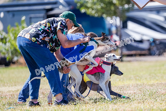 BOB, Flint-Della-Archer-5444