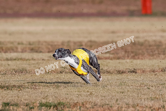 Open 2, Flight A, Prim-Betty-Cole-5562