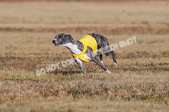 Open 2, Flight A, Prim-Betty-Cole-5566