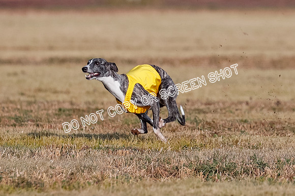 Open 2, Flight A, Prim-Betty-Cole-5567