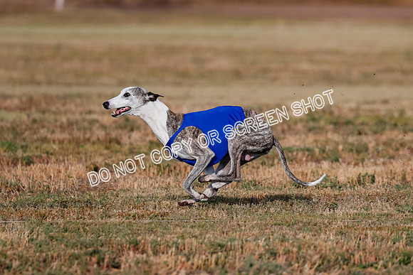 Open 2, Flight A, Prim-Betty-Cole-5570