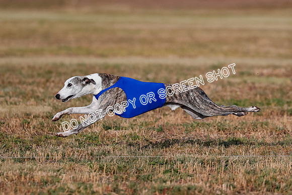 Open 2, Flight A, Prim-Betty-Cole-5572