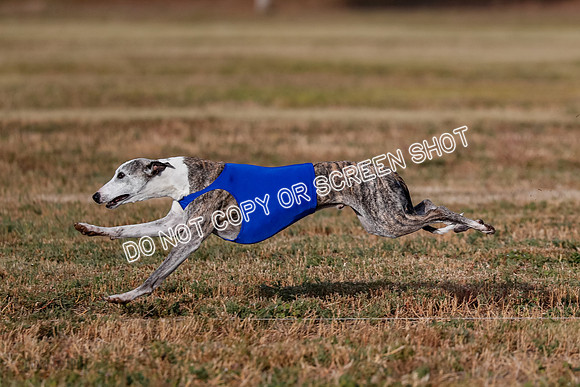 Open 2, Flight A, Prim-Betty-Cole-5575