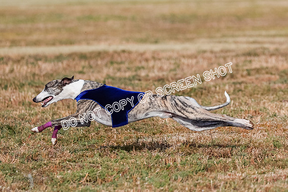 Open 4, Flight A, Zuma-Legatto-Kai-5626