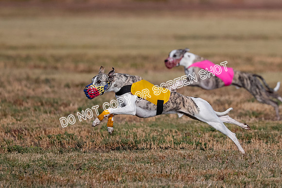 Open 6, Flight A, Rimshot-Archer-Tie Die-5675