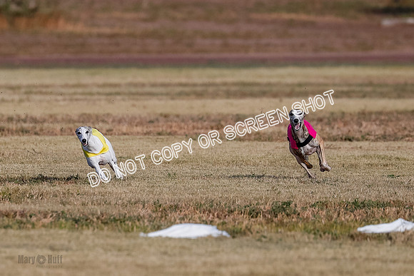 Open 7, Flight A, Hoot-Turbo-5699