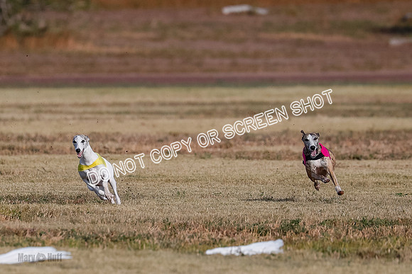Open 7, Flight A, Hoot-Turbo-5701