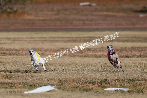 Open 7, Flight A, Hoot-Turbo-5700