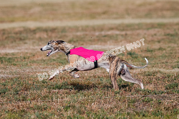 Open 7, Flight A, Hoot-Turbo-5719