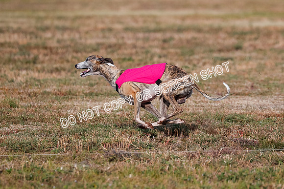 Open 7, Flight A, Hoot-Turbo-5721