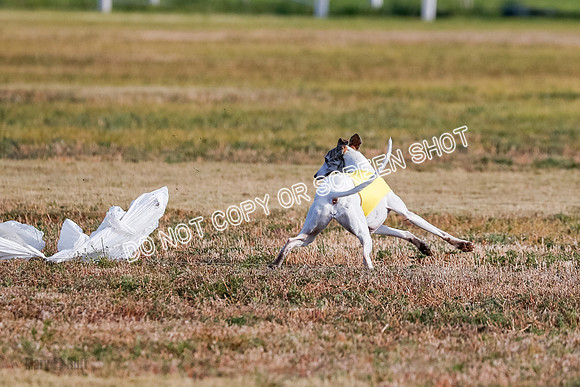 Open 7, Flight A, Hoot-Turbo-5724