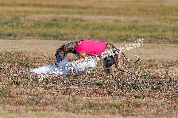 Open 7, Flight A, Hoot-Turbo-5733