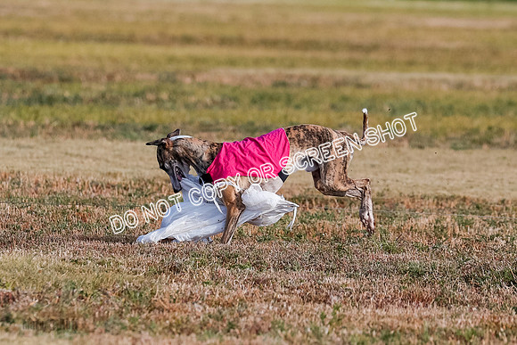 Open 7, Flight A, Hoot-Turbo-5735